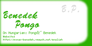 benedek pongo business card